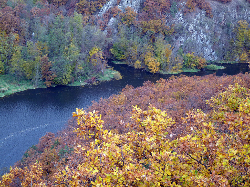 Meandr Dyje ze Sealsfieldova kamene, NP Podyji.jpg